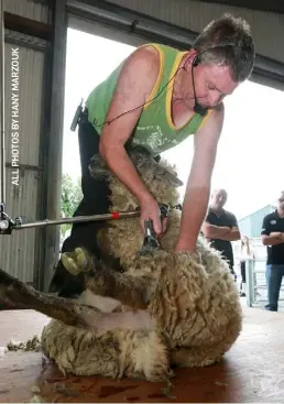  ??  ?? George Graham from Gorey, Wexford, displaying the correct way to shear a sheep as part of ‘Project Baba’ at the Sheep 2018 held at Teagasc, Athenry.