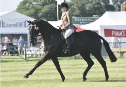  ??  ?? Riding horse champion Hoghton Valentino with Libby Robertson