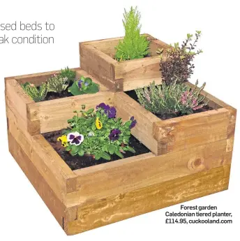  ??  ?? Forest garden Caledonian tiered planter, £114.95, cuckooland.com