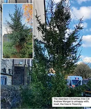  ?? ?? The Aberdare Christmas tree Cllr Andrew Morgan is unhappy with. Inset, the tree in Treorchy