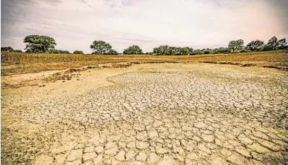  ?? ?? O Governo já anunciou medidas para enfrentar o problema da seca, sobretudo no sul de Portugal.