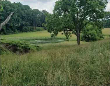  ?? MEDIANEWS GROUP FILE PHOTO ?? North American Land Trust has acquired a historic Brandywine Battlefiel­d property located on Oakland Road in Delaware County, with the intent to protect the land forever.