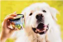  ?? COURTESY OF BEN & JERRY’S ?? Venerable Vermont ice cream company Ben & Jerry’s is introducin­g a line of frozen dog treats, its first foray into the lucrative pet food market.