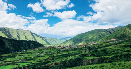  ??  ?? Ma’ke River Forest Farm in Golog Tibetan Autonomous Prefecture, Qinghai Povince, is famed for its primary forest with the highest elevation in the source area of the Dadu River.