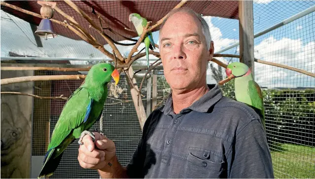  ?? PHOTO: DOMINICO ZAPATA/ FAIRFAX NZ ?? Phil Evans is a bird man. He has an aviary out the back of his house. Evans battles the feline-foe every single day. He traps them. He wets them. He takes them to the pound.