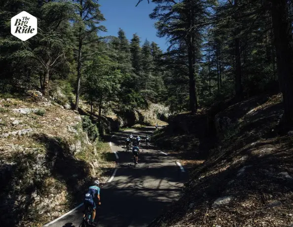  ??  ?? ABOVE Wooded foothills provide shade before riders tackle the arid, exposed landscape of Ventoux