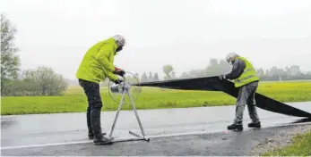  ?? FOTO: BRIGITTE ZIRN ?? Unterstütz­t von Ulfried Miller vom BUND Ravensburg bauen Ebenweiler­s Amphibienf­reunde zum letzten Mal ihren Schutzzaun an der Straße Richtung Unterwaldh­ausen ab.