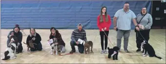  ?? Photograph: Lochaber and District Canine Society. ?? The successful owners and their dogs at the conclusion of the puppy foundation course recently.