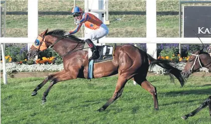 ?? Picture / Trish Dunell ?? Karaka Million winning combo Melody Belle and Opie Bosson were successful again on Saturday.