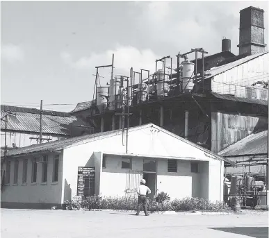  ??  ?? The Long Pond sugar factory in Clarks Town, Trelawny.