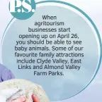 ??  ?? When agritouris­m businesses start opening up on April 26, you should be able to see baby animals. Some of our favourite family attraction­s include Clyde Valley, East Links and Almond Valley Farm Parks.