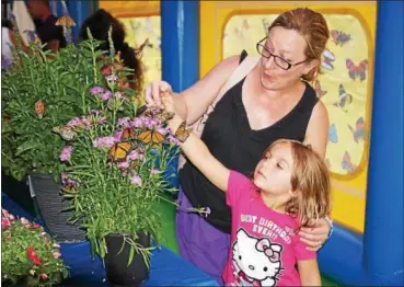 ?? PHOTO BY WILLIAM J. KEMBLE ?? Meredith Ellsworth and her 5-year-old daughter, Alyssa, look at Monarch butterflie­s in the Butterfly Experience tent at the Ulster County Fair in New Paltz, N.Y. The Ellsworths live in Saugerties.