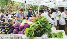  ??  ?? ■ Straight from the farm: Lovers of fresh and organic produce check out the day’s offerings at Farmers Market.