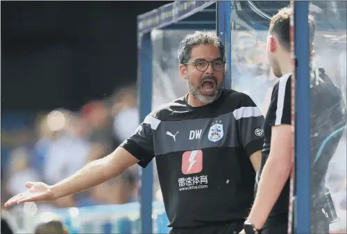  ?? PICTURE: MIKE EGERTON/PA ?? MAKING A NOISE: Huddersfie­ld Town, under head coach David Wagner, defied expectatio­ns that they would slip quietly back into the Championsh­ip last season.