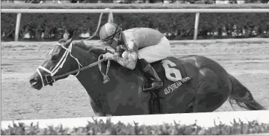  ?? LAUREN KING/COGLIANESE PHOTOS ?? Strike Power, who won the Swale Stakes at Gulfstream Park on Feb. 3 in only his second race, is expected to start in the Florida Derby on March 31.