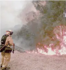  ??  ?? Los bomberos y miembros de brigadas forestales presentan un porcentaje superior de casos de cáncer./EFE.