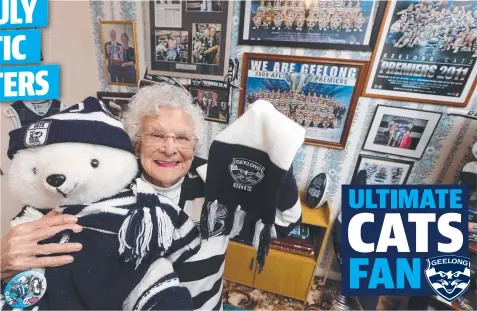  ?? Picture: GLENN FERGUSON ?? DEVOTED: Betty Bourke, 90, is one of the finalists for the Geelong Advertiser’s Ultimate Cats Fan competitio­n.