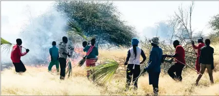  ?? Photo: Obrein Simasiku ?? Quick response… Community members with the assistance of firefighte­rs from the Omuthiya Town Council battling the raging blaze.