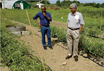  ?? Chandra Madramooto­o et son étudiant au doctorat Samuel Ihuoma observent un système d’irrigation goutte à goutte dans un champ de tomates. ??