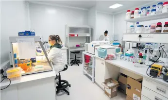  ?? ?? Scientists work in Afrigen’s lab in Cape Town. The pharmaceut­ical company will develop vaccines, but mass-producing them is left to manufactur­ers called ‘spokes’.