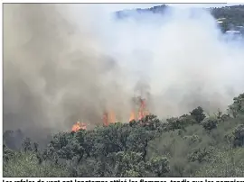  ?? (Photo DR) ?? Les rafales de vent ont longtemps attisé les flammes, tandis que les pompiers assuraient par radio le guidage des Canadairs.