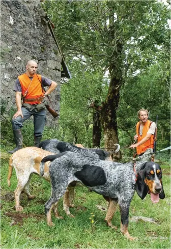  ??  ?? Les premières menées sous la chaleur mettent les meutes à rude épreuve.