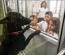  ?? ILANA PANICH-LINSMAN / NEW YORK TIMES ?? Hailey Juarez, 6; Emmanuel Guerrero, 7; and Zitlaly Guerrero, 5, visit Nixon, a dog at Dallas Animal Services, in August. In a cultural shift, rescue adoption’s popularity has soared.