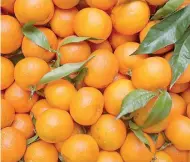  ??  ?? Found in high levels in oranges, scientists discovered vitamin C starves tumours in laboratory tests. But experts warn patients could not get enough through eating the fruit