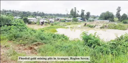 ??  ?? Flooded gold mining pits in Arangoy, Region Seven.