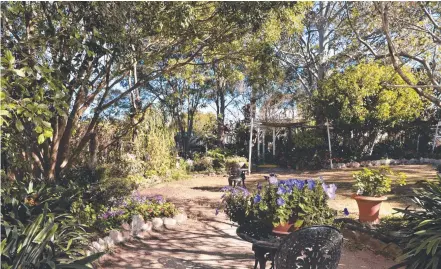  ?? Picture: Kevin Farmer ?? REGION’S GARDENERS: The beautiful garden of Kevin and Lola Steinmulle­r.