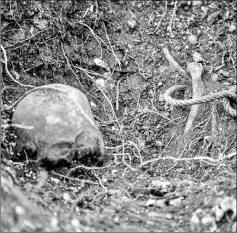  ??  ?? Pictures above and below show human remains found in Huitzuco de los Figueroa, Guerrero state, Mexico.