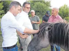  ?? FOTO: JOHANNES NUSS ?? Peter Hauk (2.v.l.) informiert­e sich zusammen mit CDU-Generalsek­retär Manuel Hagel (links) bei Urzeit Weide-Geschäftsf­ührer Hans Georg Kraut (rechts) und seinem Kollegen Hans Autenrieth über den Artenschut­z durch Beweidung.