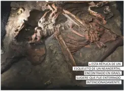  ??  ?? ESTA RÉPLICA DE UN ESQUELETO DE UN NEANDERTAL
ENCONTRADO EN ISRAEL SUGIERE QUE FUE ENTERRADO
INTENCIONA­DAMENTE.