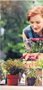  ??  ?? Natural therapy: gardening works wonders for mental health; the Duchess of Cambridge discusses her RHS Chelsea garden plans, top right; Tabi Gee, left