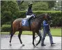  ?? ADAM COGLIANESE — SUBMITTED ?? In this photo provided by the New York Racing Associatio­n, Fauci, jockey Tyler Gaffalione up, is led from the paddock to the track for a horse race at Belmont Park in Elmont, N.Y., June 3.