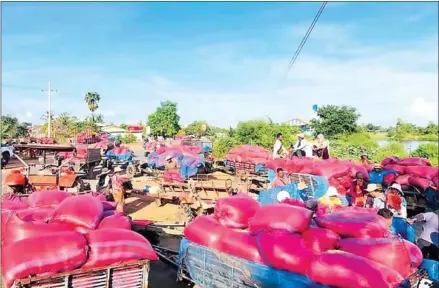  ?? FB ?? Farmers in Banteay Meanchey province transport their paddy rice to sell to the Pheak Chhuoy Rice Mill on November 21.