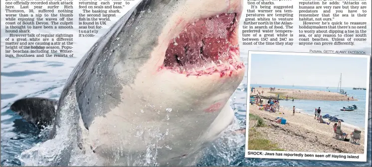  ?? Pictures: GETTY, ALAMY, FACEBO ?? SHOCK: Jaws has reportedly been seen off Hayling Islan