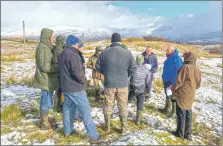  ?? Photograph: NatureScot ?? Farmers in Argyll try a scorecard which rewards species compositio­n and structure of grassland.