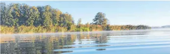  ?? FOTO: GEMEINDE KISSLEGG ?? Der Kißlegger Obersee ist eines von über 100 Gewässern, die vom Seenprogra­mm betreut werden.