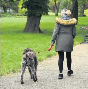  ??  ?? The Public Space Protection Order covering Bristol and dogs comes to an end in three weeks