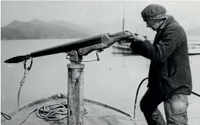  ?? MARLBOROUG­H MUSEUM ?? Max Kenny at the harpoon on a Perano chaser in 1959.