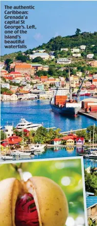  ??  ?? The authentic Caribbean: Grenada’a capital St George’s. Left, one of the island’s beautiful waterfalls
The spice island: Grenada was once the world’s second largest nutmeg exporter