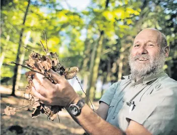  ?? RP-ARCHIVFOTO: RALPH MATZERATH ?? Förster Karl Zimmermann erinnert daran: Laub und Reisig auf dem Waldboden sind derzeit sehr trocken. Rauchen und Feuerchenm­achen sind im Wald verboten. Wer das missachtet, muss mit Bußgeld rechnen.