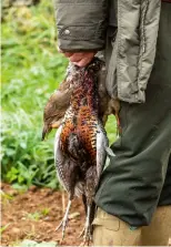  ?? ?? Pheasant offal is often overlooked in cooking