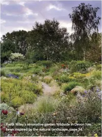  ??  ?? Keith Wiley’s innovative garden Wildside in Devon has been inspired by the natural landscape, page 34.