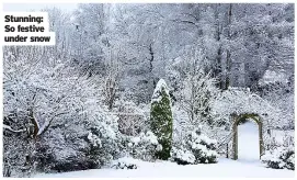  ?? ?? Stunning: So festive under snow