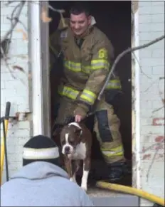  ?? PETE BANNAN - MEDIANEWS GROUP ?? A wayward pet is led back outside after trying to re-enter a home before firefighte­rs were finished at a house fire on the 200 block of Irving Street in Trainer Monday afternoon.