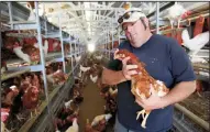  ?? ALLEN J. SCHABEN/LOS ANGELES TIMES FILE PHOTOGRAPH ?? Third-generation farmer Frank Hilliker holds one of his 8,000 Leghorn chickens in a cage-free aviary system barn at Hilliker’ Ranch Fresh Eggs, a family business since 1942, in Lakeview on Dec. 19, 2014.