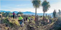  ?? ?? Planting trees has helped with reducing New Zealand’s emissions, but not enough, says Jenny Cooper, below.