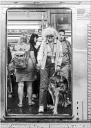  ?? DAVE SANDERS NYT ?? Kathy Faul, 73, from Swarthmore, Pa., exits a subway train at Port Authority in Manhattan with her new Seeing Eye dog, Innes.